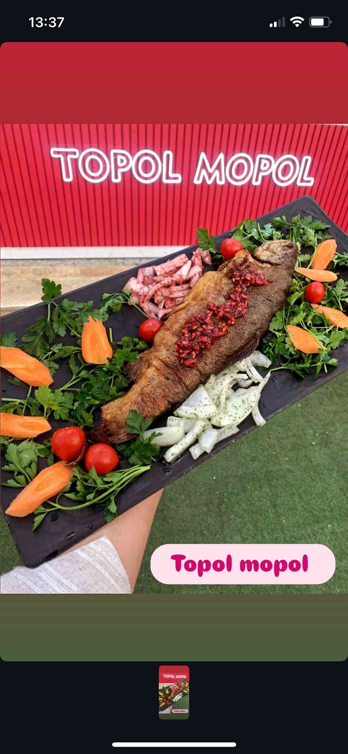 خوراک ماهی